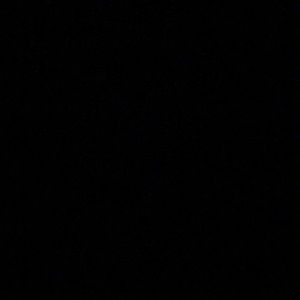 Meet your Posher, Darian